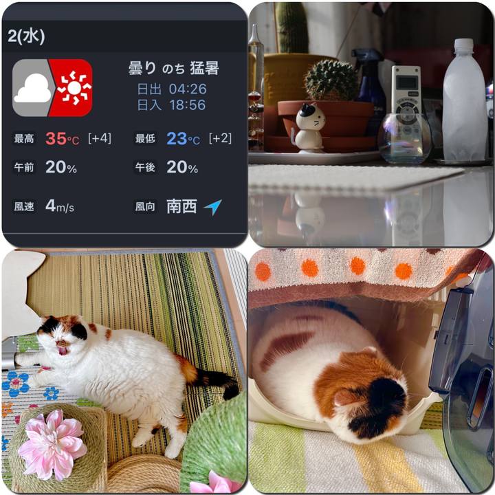 70bc5958 eee5 431a b253 2d8475a8bf1d 1690934226099