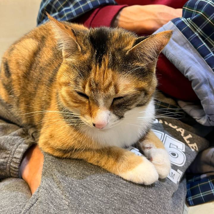 70bca109 1d8c 4bd8 8a7f d938b5ed72af 1709094483307