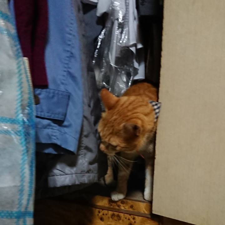 70bcc2ff 0339 4aba a0a6 1a2dcb653bc0 1569664446363