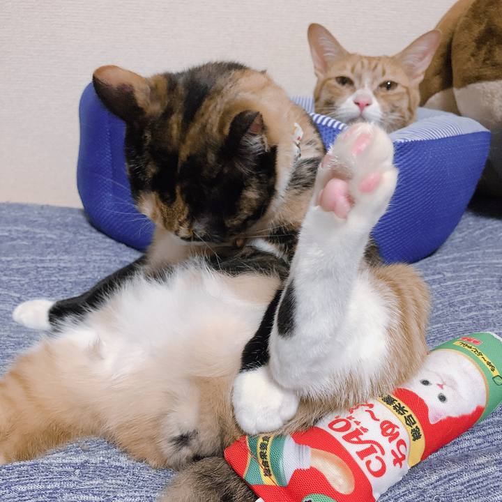 70bcc3a9 13a4 4e15 a29e 1295bfc33288 1569069707204