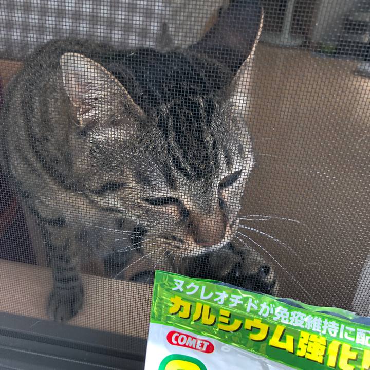 70bcc645 2100 4a85 aa2c fbff8a6158b8 1528904912725