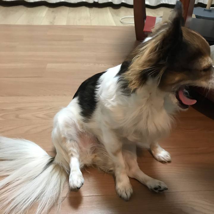 70bccee7 5f79 4d20 8d36 65014e28b601 1545396349985