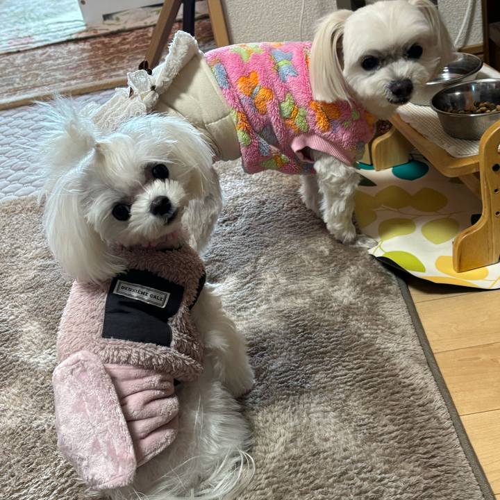 70bd69e1 aa2b 4dba 9d82 578955ada532 1733883050298