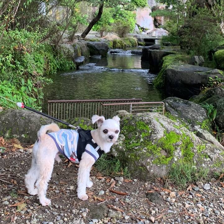 70bd6d2c df2b 4ff2 bcd1 4e175a0cdb13 1564314314036