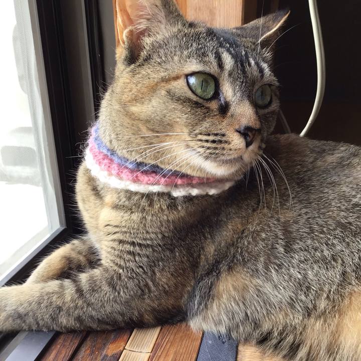 70bdf8ea 5be6 47e6 9a4a dd38be1a89fb 1624150395313