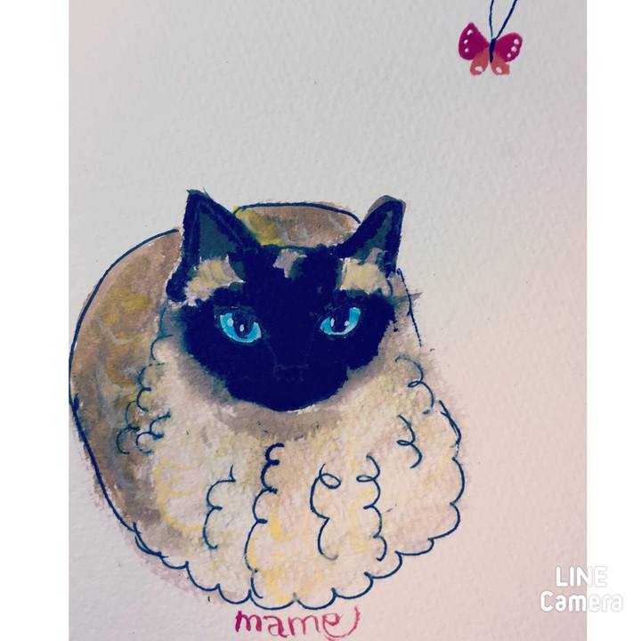 70bdfd5d 2fc1 4f1f 8fe5 b5d90fd6c8fb 1621772519332