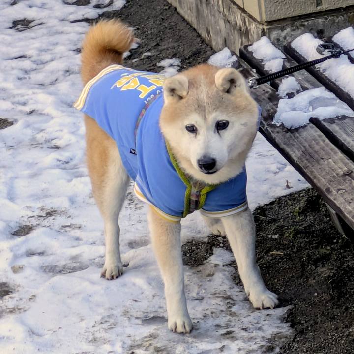 70be4116 6a15 46f2 a76b 231ca3405fc5 1767493532037