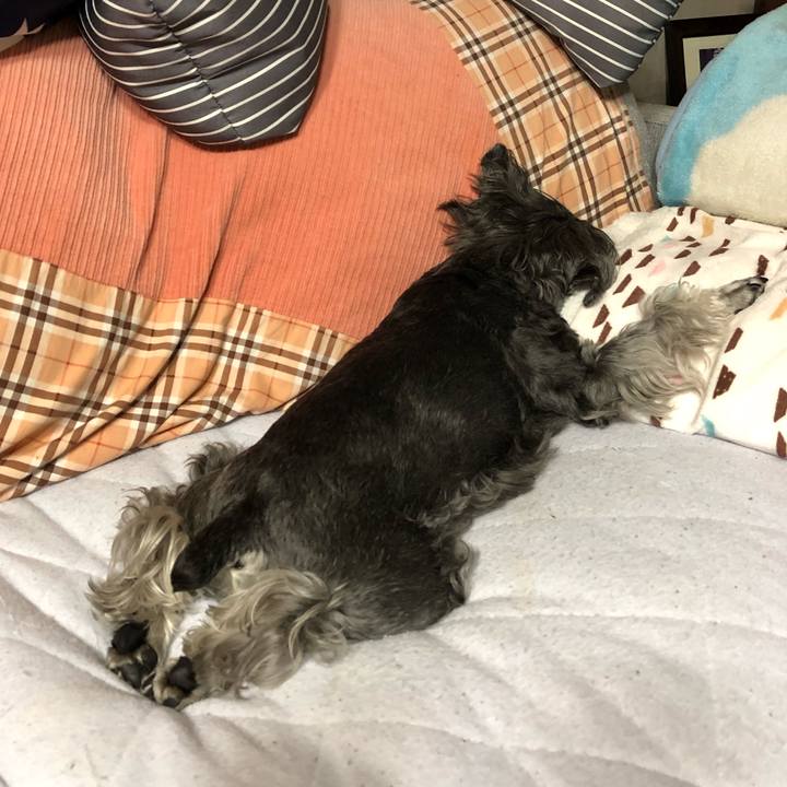 70be41af fe1f 40f6 9050 ce16915a4744 1684246125664