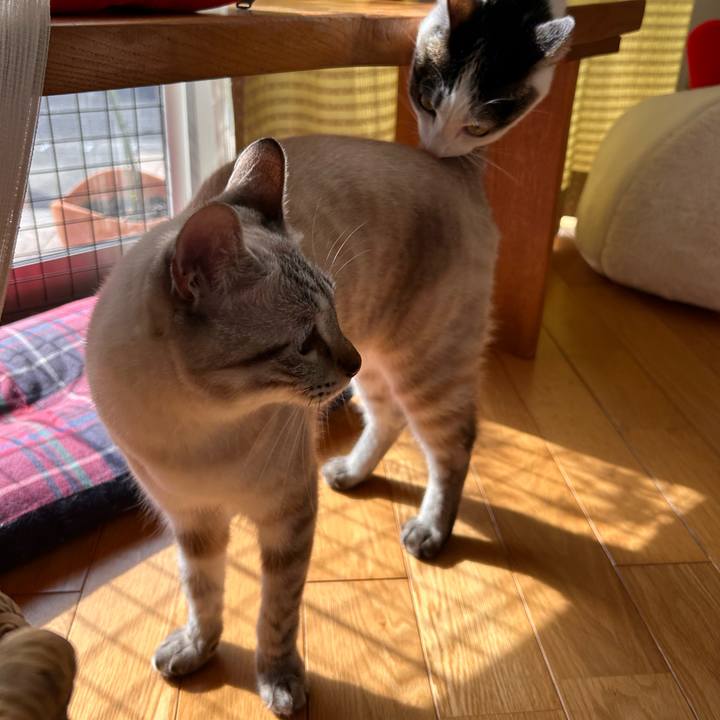 70be7db8 703b 4f05 9334 67a39103aecb 1764213068405