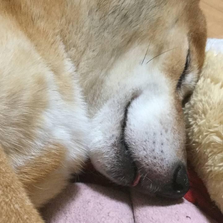 70be93c5 b07e 4b6a 8da8 0ad50a01ee67 1576154531175