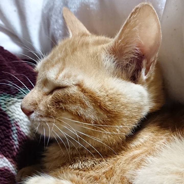 70be9570 4faf 4f10 9928 4c4f6807372c 1635080359161