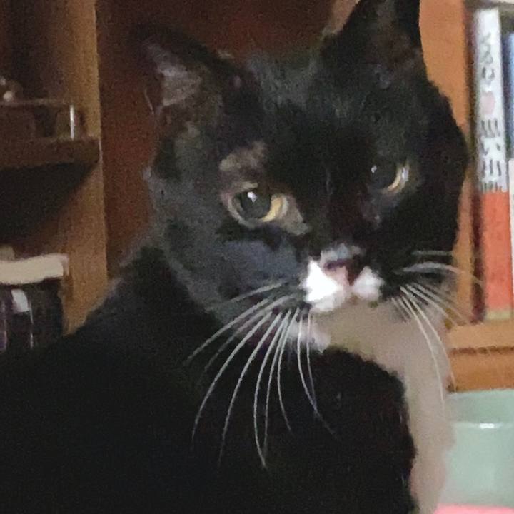 70be9a75 3341 476a 97e0 c14788af84bd 1588977805466