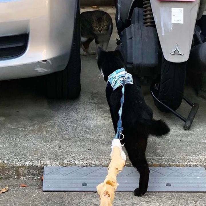 70be9ac3 3516 4c24 9be2 8994c28d39c5 1522122274642