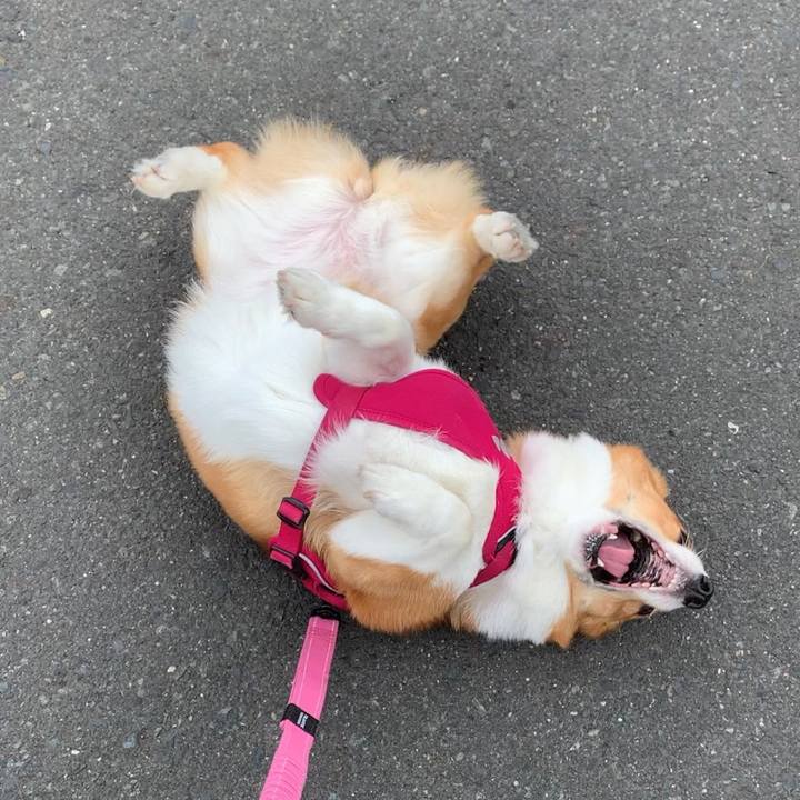 70bec6ec 8a2a 4509 8739 4488f66ef67d 1653528781940