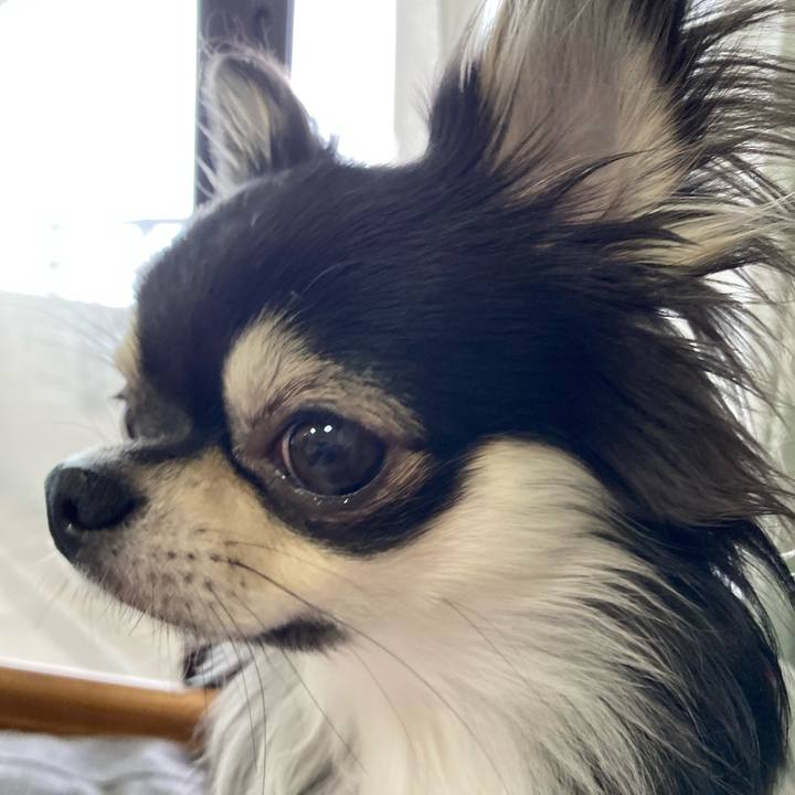 70bee062 a523 4b26 844e 159cbbd6e4c6 1616334449299