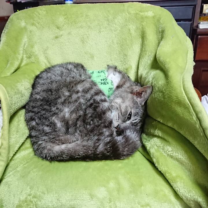 70bee6ff 4044 487d 9dcf 0a6ad9a0fd00 1587184042808