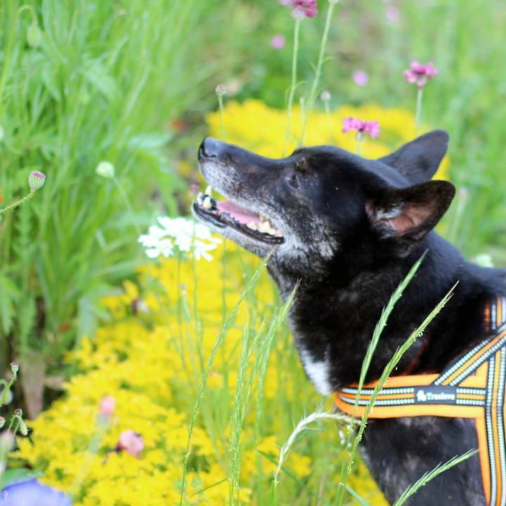 70beecfe 27d8 46c8 bb35 b9b03648fda8 1621810482332