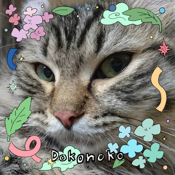 70bf0fde 0ec1 4525 af63 322ec7d8372d 1717999318278