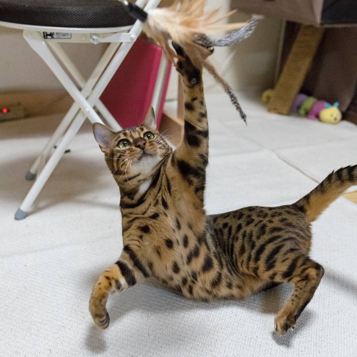 70bf909e 3490 4e7b a09d 3d8f8e916172 1518627749983