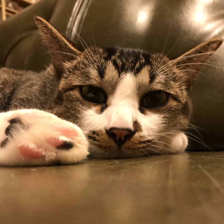 70bfa517 6929 48aa b81a bcd8b2acc904 1508406455385