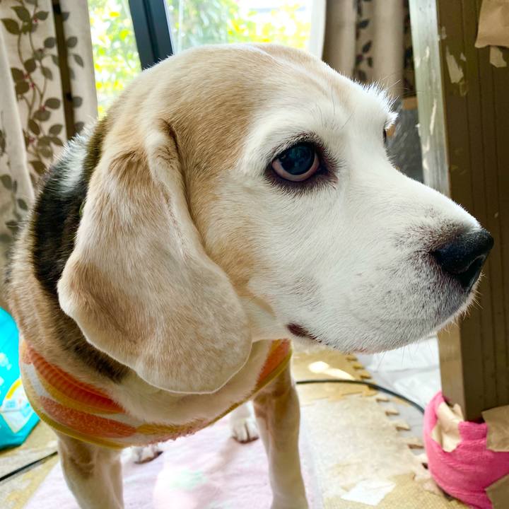 70bfc091 897e 4e58 906b 9f8fba39f190 1643435066708