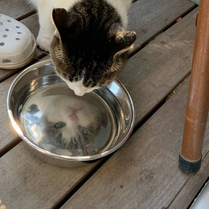 70bfcdef 6a38 432f aac6 8007c71be137 1572495026824