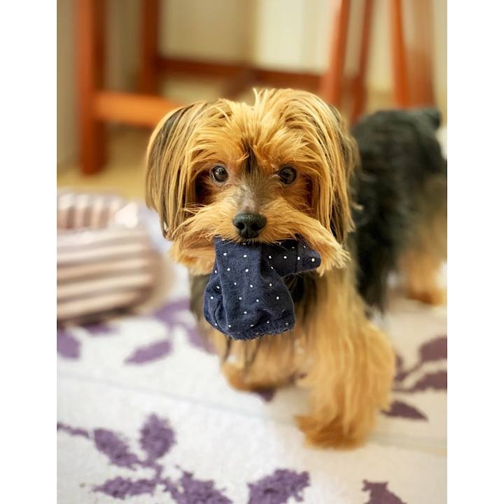 70bfd0b3 5479 403b 8fea f66ddf71d2fe 1558143895484