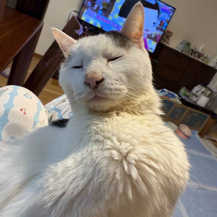 70bfe847 157b 4be9 a691 f2aaf325a601 1762572692748