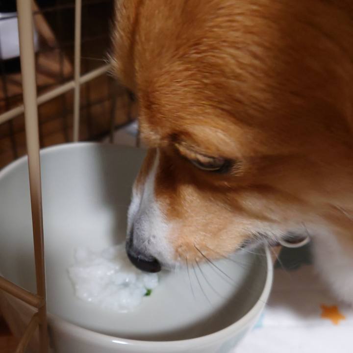 70bff2c8 ef66 4adf a3c5 b897e98185de 1767800925942