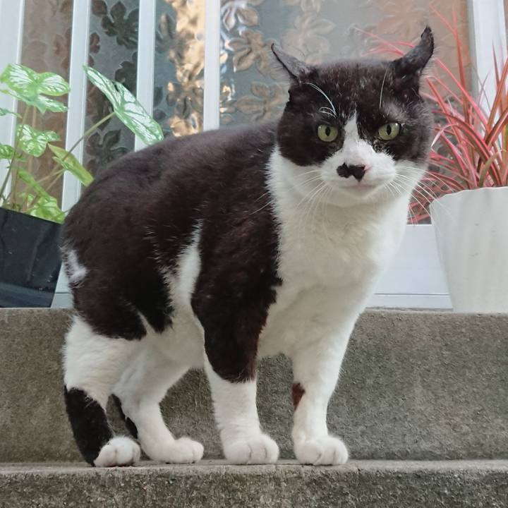 70bff50a a015 44b3 a0ec ab65e9404f25 1633247173041