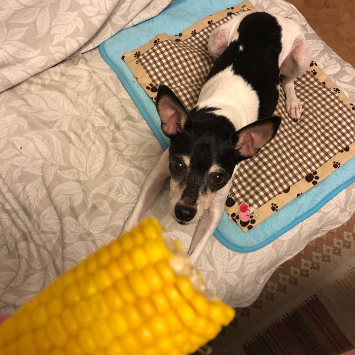 70c02da7 0567 49c2 a8e6 2a41ace6c587 1536845121394