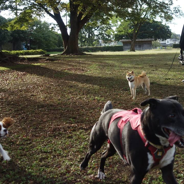 70c04848 7852 47d0 87c8 5a1d72d7f63f 1697243567526