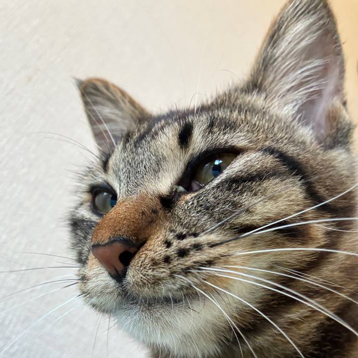 70c09088 0950 4b84 a9aa cd5e59fdd8bc 1755326367428