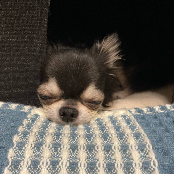 70c0ca62 9534 40d8 bd5d 49c4dfe8fedd 1662792190834