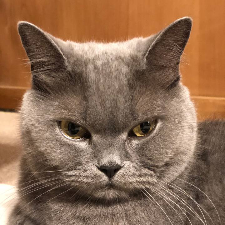 70c0e338 500f 4f7a 845d d728c432e8c3 1567816985705