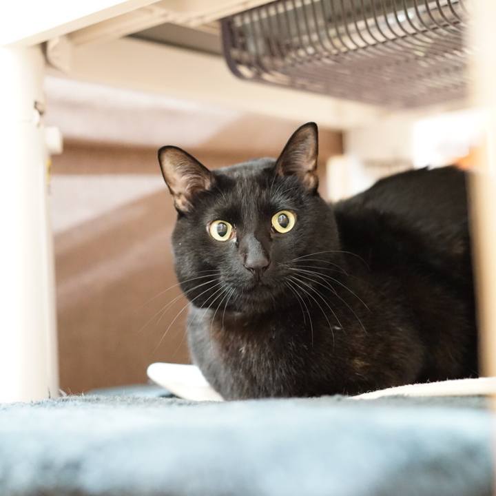 70c10148 c278 4a3c a146 5c79b56db6e6 1548632856604