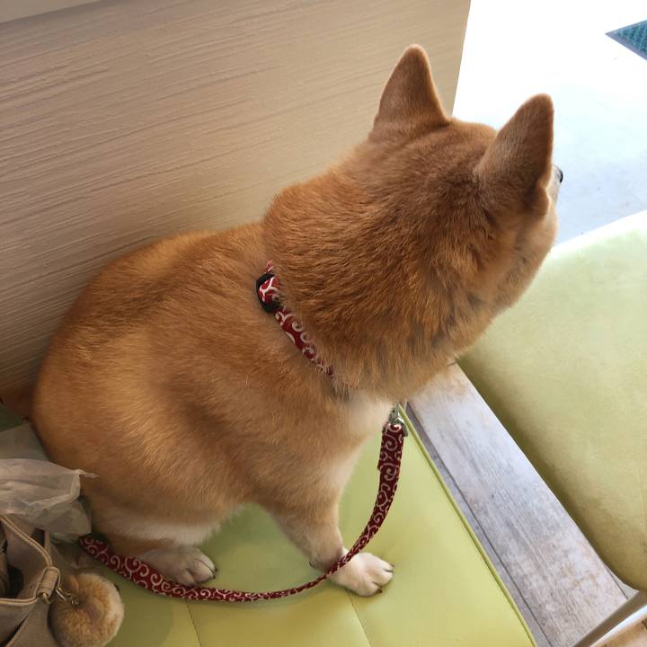 70c104e4 7397 4f6d aabe ac441a91a097 1600864219936