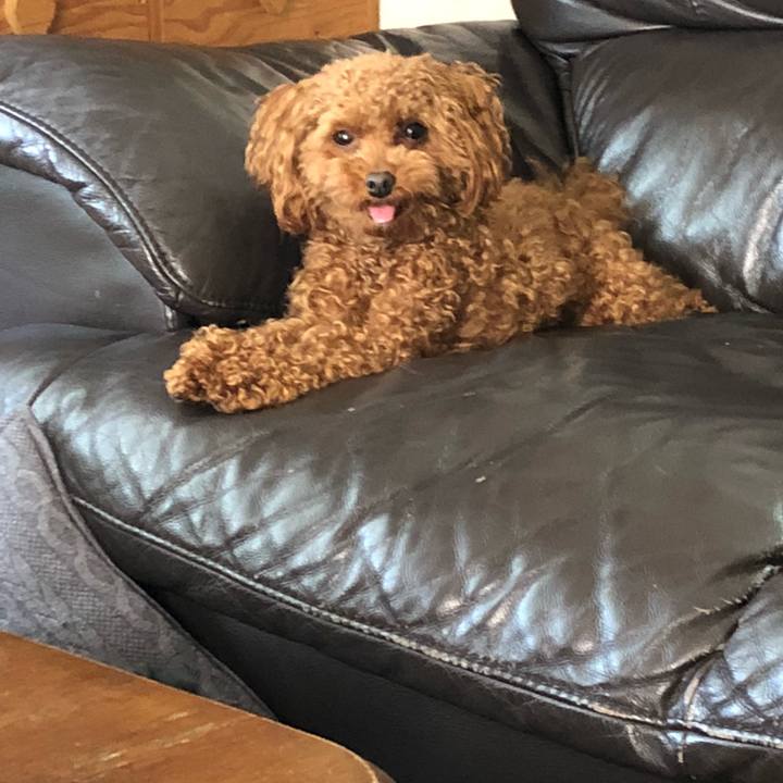 70c11043 cb7c 4fa9 8c5d 08faee3584f7 1525420800666