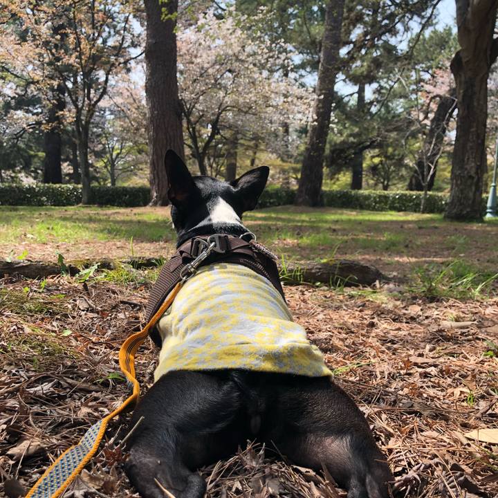 70c11820 0fc2 47a4 9637 36ab799c11c7 1522300678861