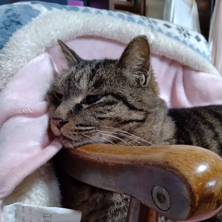 70c13fcd af2d 4459 ba47 b248aa8e56cf 1673230648734