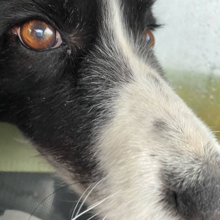 70c16769 91cb 4ffe bca2 67e334e6f51c 1622066921433