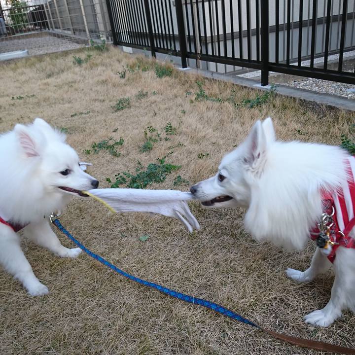 70c1b33b ed97 481f 94bb 3018f35a7fd1 1554800767227