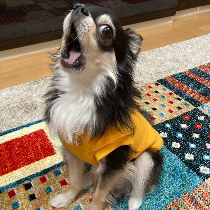 70c1f2ce 727c 4a3b 839a bc05eeaa41a2 1679842765109