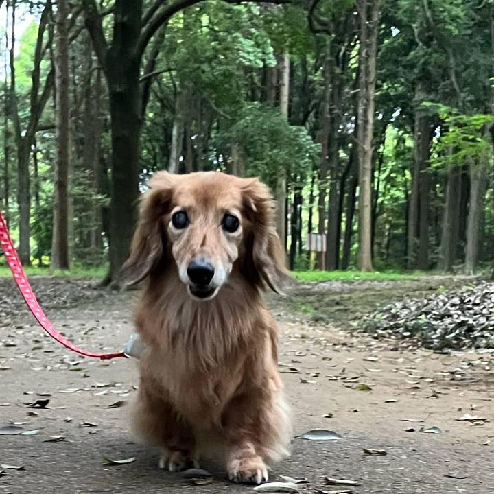 70c20408 f8bb 4017 906c 4fcafcd08c77 1684063153242