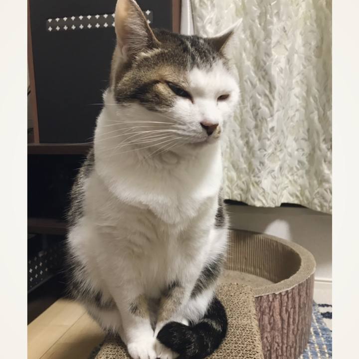 70c2093b 1d72 4cb4 abd2 bbaa5a2ebcdc 1553500655910