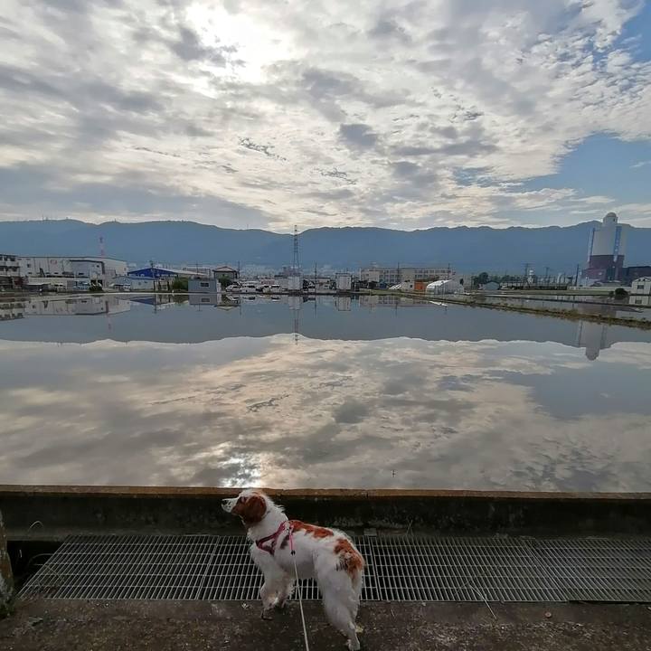 70c2185f 06e3 4128 a226 f773868a9f49 1621813098618