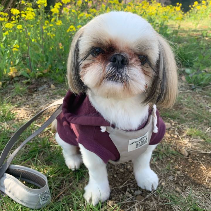 70c23584 c343 4d3f bc9e e6298cb5993f 1677319034365