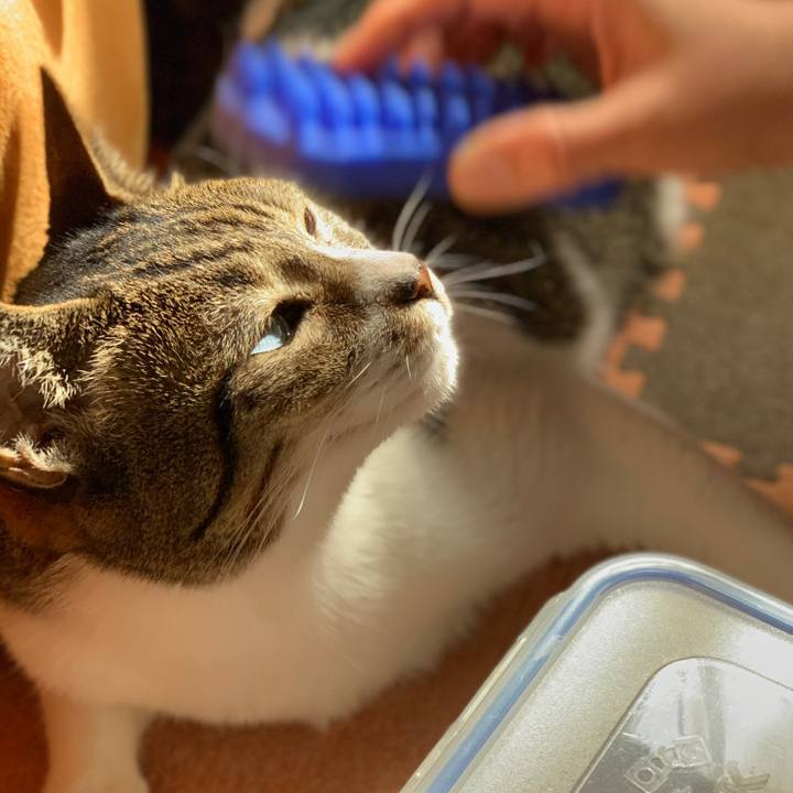 70c24cbb 2690 415f ba8e c1aeda1aad01 1573349615216