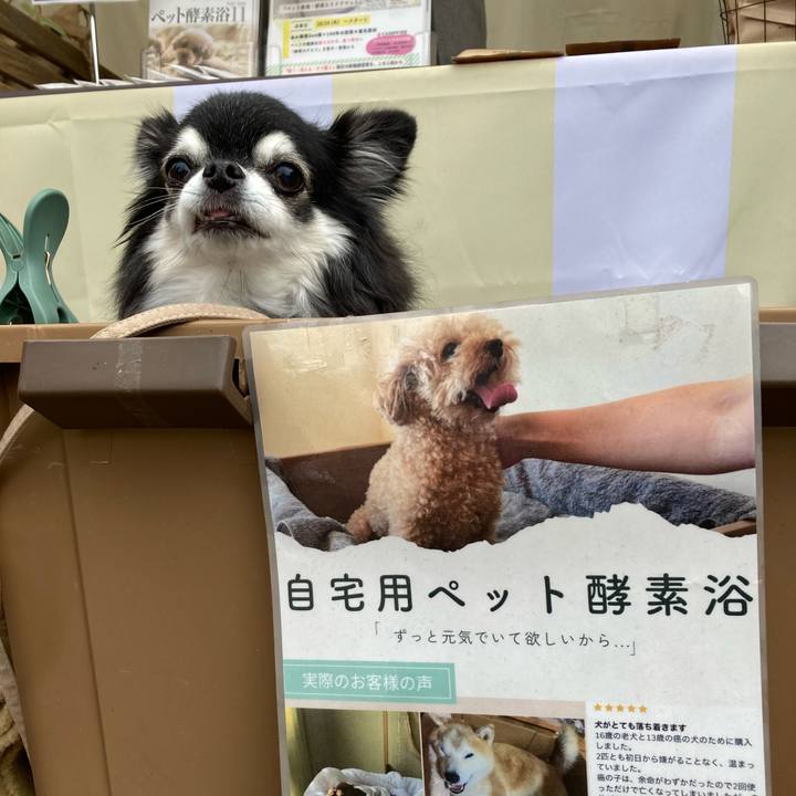 70c284e4 d319 40b0 8a94 06204d5899bd 1763882363524