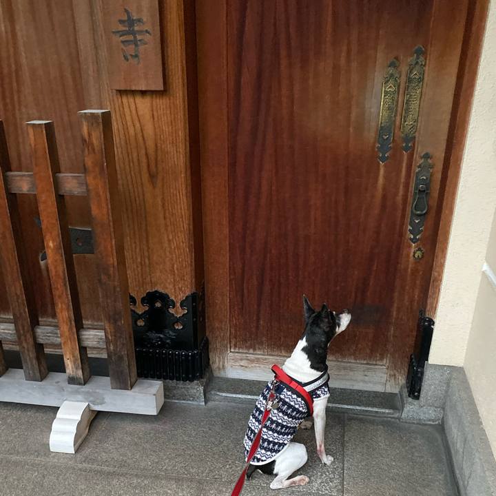 70c2a676 d411 4855 bc54 144da204c5cf 1574287712202